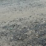 सड़क निर्माण में बार-बार ऊंची हो रही सड़कें, नीचे धंस रहे मकान: स्वापो ट्रस्ट ने मुख्यमंत्री को भेजा मांग पत्र